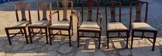 Six Hepplewhite Style Chairs Including 2 Carvers